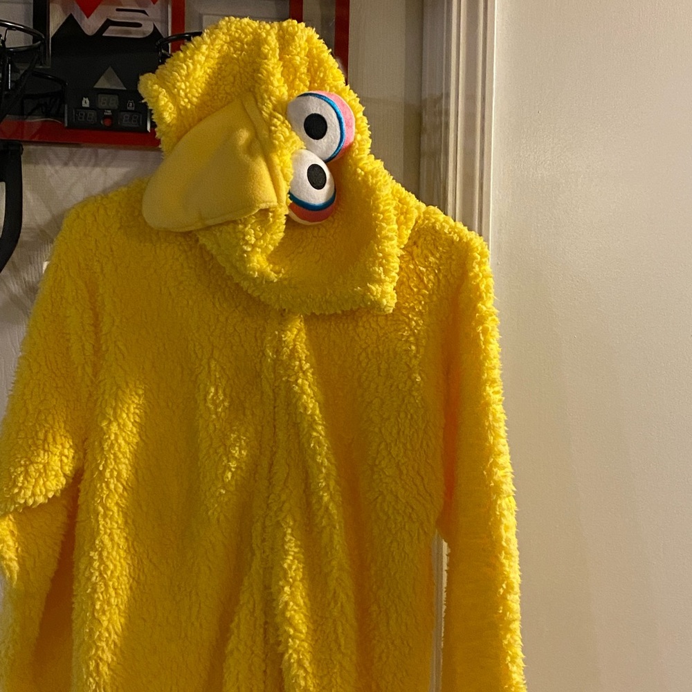 Big Bird costume